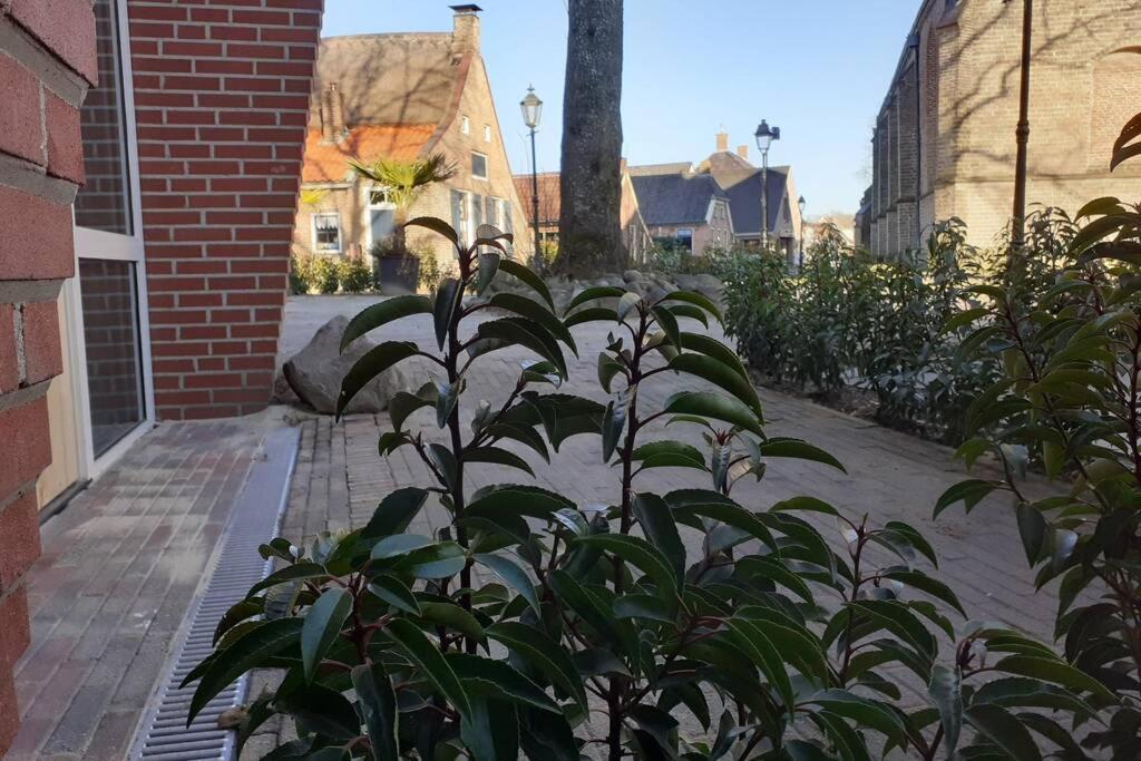 Brinkzicht Diever, Appartement Bert Экстерьер фото